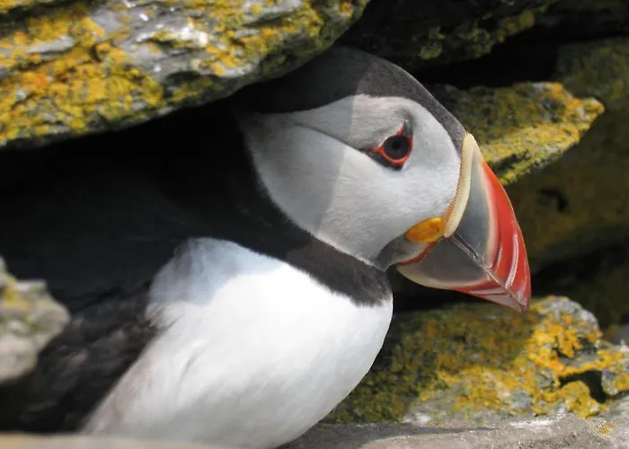 Bed & Breakfast San Antoine